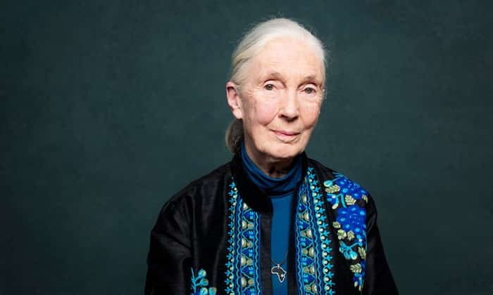 Jane Goodall