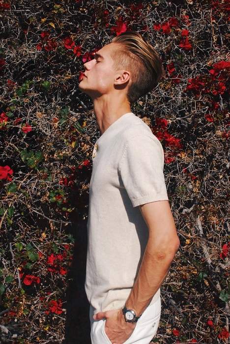 Neels Visser