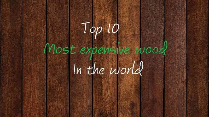 Top 10 Most Expensive Wood in the World Type Color Price 